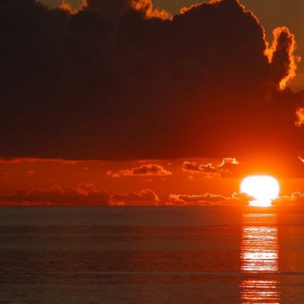 Meet your Posher, Sera